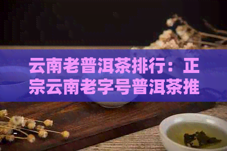 云南老普洱茶排行：正宗云南老字号普洱茶推荐与排名