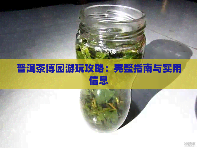 普洱茶博园游玩攻略：完整指南与实用信息