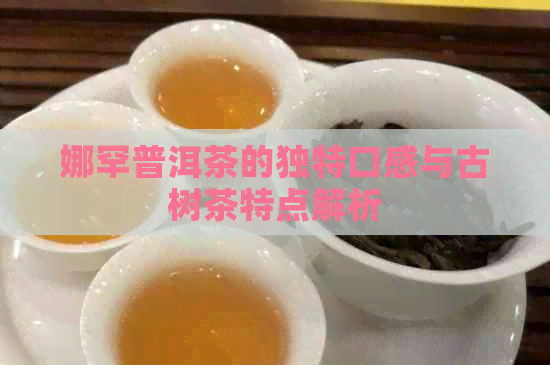 娜罕普洱茶的独特口感与古树茶特点解析