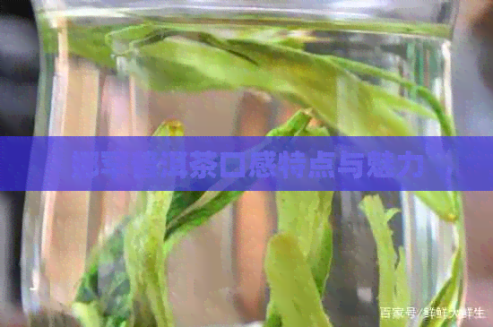 娜罕普洱茶口感特点与魅力