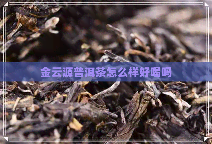 金云源普洱茶怎么样好喝吗