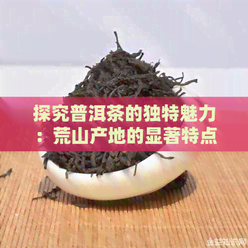 探究普洱茶的独特魅力：荒山产地的显著特点及其品饮体验