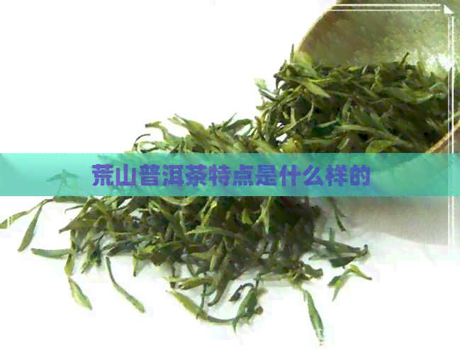 荒山普洱茶特点是什么样的