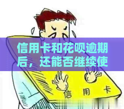 信用卡和花呗逾期后，还能否继续使用？