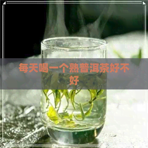 每天喝一个熟普洱茶好不好