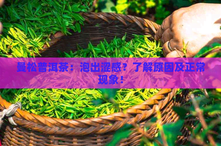 曼松普洱茶：泡出涩感？了解原因及正常现象！