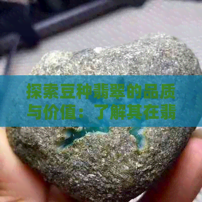 探索豆种翡翠的品质与价值：了解其在翡翠市场中的定位和档次