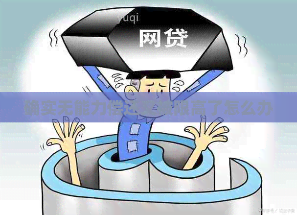 确实无能力偿还又被限高了怎么办