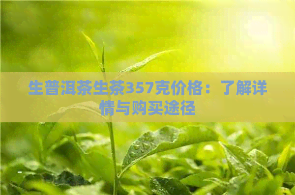 生普洱茶生茶357克价格：了解详情与购买途径