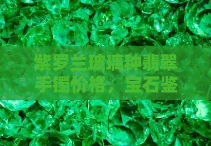 紫罗兰玻璃种翡翠手镯价格，宝石鉴别，收藏价值，选购指南，推荐