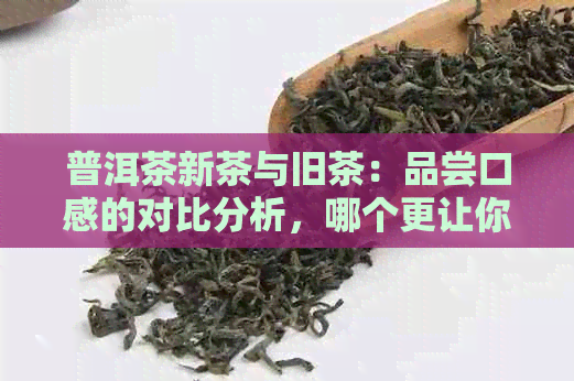 普洱茶新茶与旧茶：品尝口感的对比分析，哪个更让你醉？