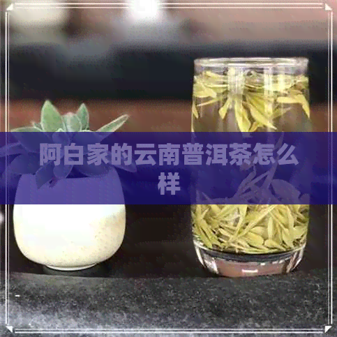 阿白家的云南普洱茶怎么样