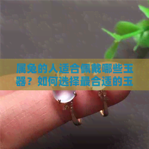 属兔的人适合佩戴哪些玉器？如何选择最合适的玉饰品？