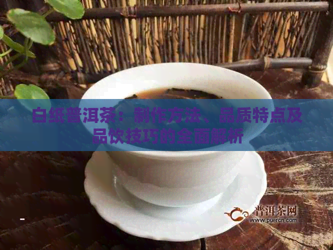 白纸普洱茶：制作方法、品质特点及品饮技巧的全面解析