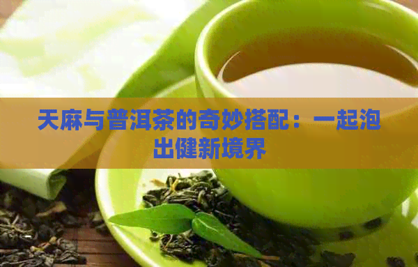 天麻与普洱茶的奇妙搭配：一起泡出健新境界