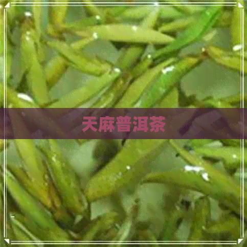 天麻普洱茶