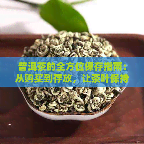 普洱茶的全方位保存指南：从购买到存放，让茶叶保持状态