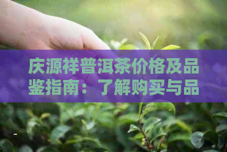 庆源祥普洱茶价格及品鉴指南：了解购买与品尝普洱茶所需的全方位信息