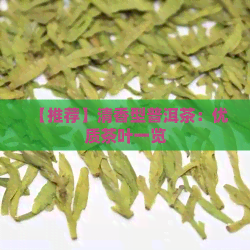 【推荐】清香型普洱茶：优质茶叶一览