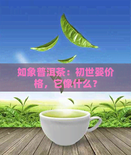 如象普洱茶：初世婴价格，它像什么？