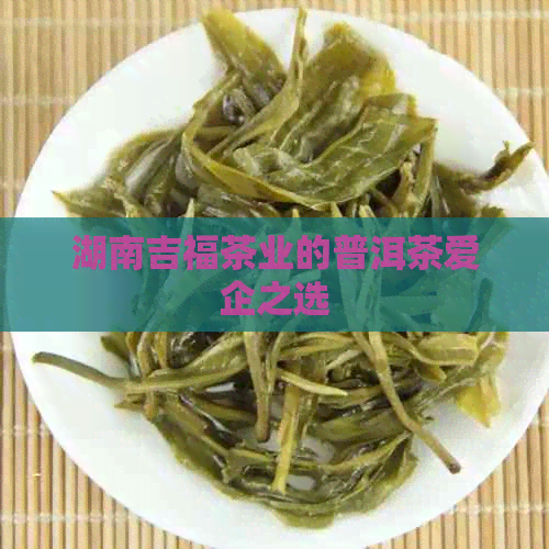 湖南吉福茶业的普洱茶爱企之选