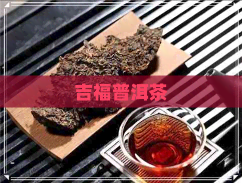 吉福普洱茶