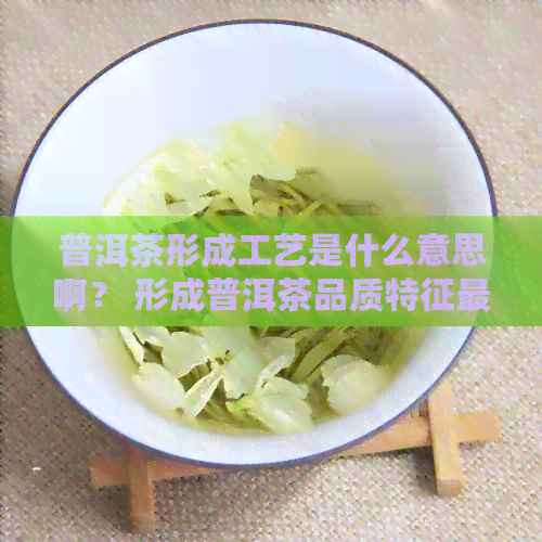 普洱茶形成工艺是什么意思啊？ 形成普洱茶品质特征最主要的工序是。