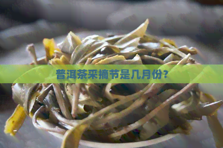 普洱茶采摘节是几月份？