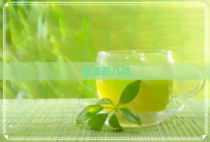 普洱茶几月