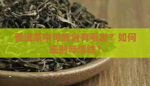 普洱茶中可能含有毛发？如何鉴别与清除？