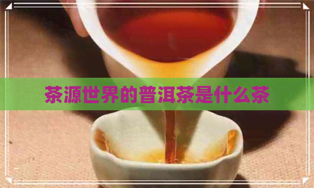 茶源世界的普洱茶是什么茶