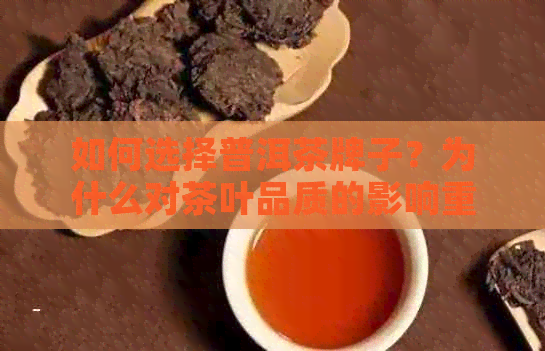 如何选择普洱茶牌子？为什么对茶叶品质的影响重要？