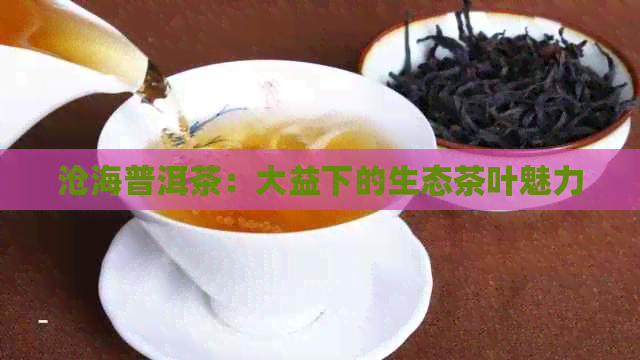 沧海普洱茶：大益下的生态茶叶魅力