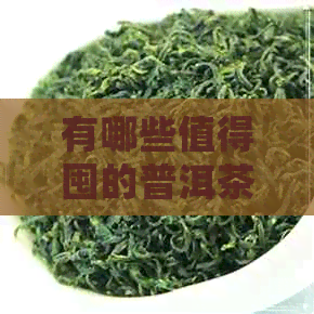 有哪些值得囤的普洱茶