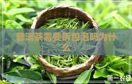 普洱茶需要拆包泡吗为什么