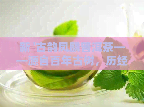 新 '古韵凤麟普洱茶——源自百年古树，历经时间沉淀的醇厚之味'