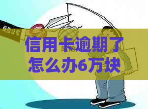 信用卡逾期了怎么办6万块钱：逾期后的处理建议和时间节点。