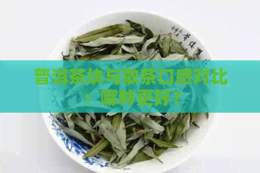 普洱茶块与散茶口感对比：哪种更好？