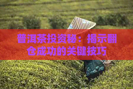 普洱茶投资秘：揭示翻仓成功的关键技巧