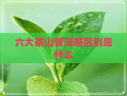 六大茶山普洱茶区别是什么