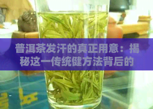 普洱茶发汗的真正用意：揭秘这一传统健方法背后的科学原理