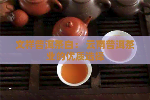 文祥普洱茶白： 云南普洱茶业的优质选择