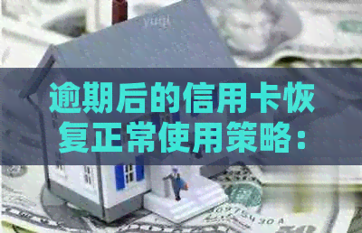 逾期后的信用卡恢复正常使用策略：详尽指南与建议