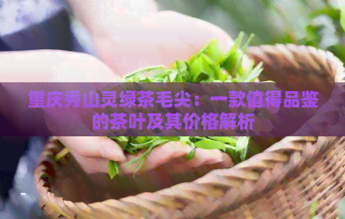 重庆秀山灵绿茶毛尖：一款值得品鉴的茶叶及其价格解析