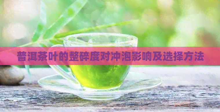 普洱茶叶的整碎度对冲泡影响及选择方法