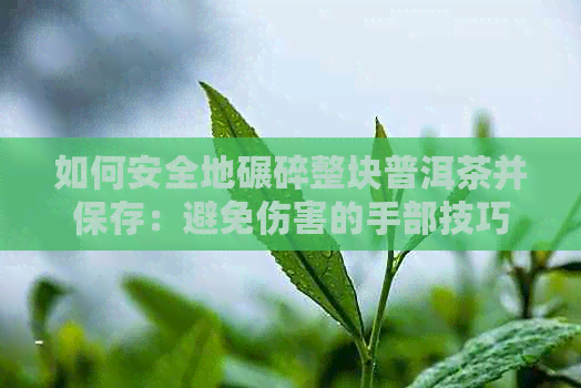 如何安全地碾碎整块普洱茶并保存：避免伤害的手部技巧