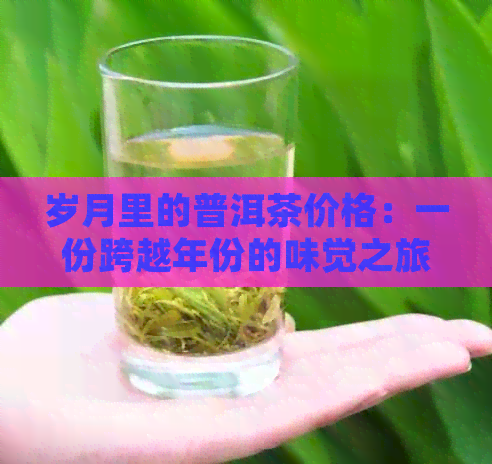 岁月里的普洱茶价格：一份跨越年份的味觉之旅