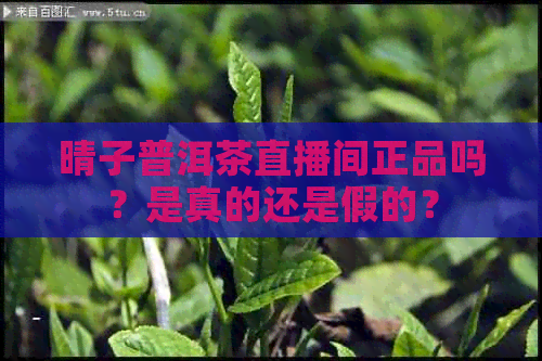 晴子普洱茶直播间正品吗？是真的还是假的？