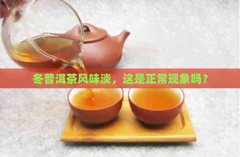 冬普洱茶风味淡，这是正常现象吗？