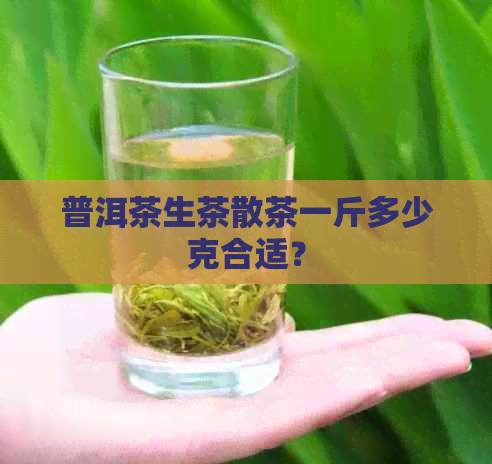 普洱茶生茶散茶一斤多少克合适？